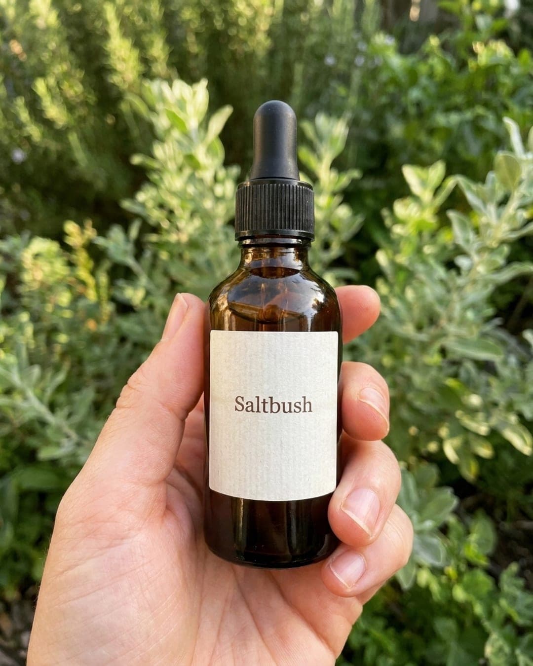 The same Saltbush serum bottle held in a hand against greenery outdoors
